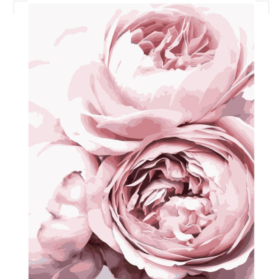 Картина за номерами Ніжні рожеві півонії 2 40х50 см VA-3127