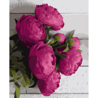 Картина за номерами Малинові півонії 40х50 см VA-3171