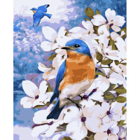 Картина по номерам Синички 40х50 см VA-3233