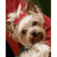 Картина за номерами Песик з хвостиком 40х50 см VA-3429