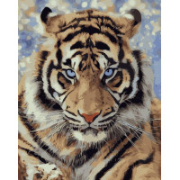 Вид хижака 40х50 см VA-3431