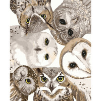 Картина по номерам Strateg ПРЕМИУМ Глаза совенят с лаком размером 40х50 см VA-3666