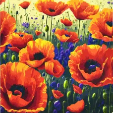 Картина за номерами Strateg Поле маків розміром 50х50 см (AA021)