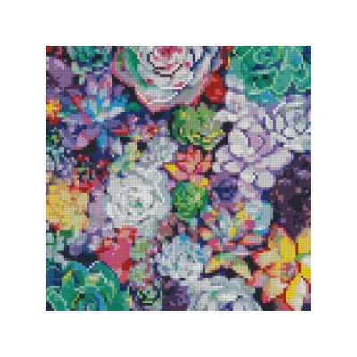 Алмазна мозаїка Різнобарвна ехеверія 30х30 см CA-0012