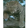 Алмазна мозаїка Strateg ПРЕМІУМ Леопард на відпочинку розміром 40х50 см (D0051)