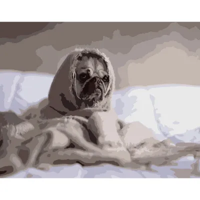 Картина за номерами Strateg ПРЕМІУМ Закутаний мопсик розміром 40х50 см (DY078) Картина за номерами Strateg ПРЕМІУМ Закутаний мопсик розміром 40х50 см (DY078)
