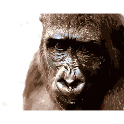 Картина за номерами Strateg ПРЕМІУМ Кінг-Конг розміром 40х50 см (DY085) Картина за номерами Strateg ПРЕМІУМ Кінг-Конг розміром 40х50 см (DY085)