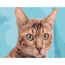 Картина по номерами Strateg ПРЕМИУМ Зеленоглазый кот размером 40х50 см (DY097)