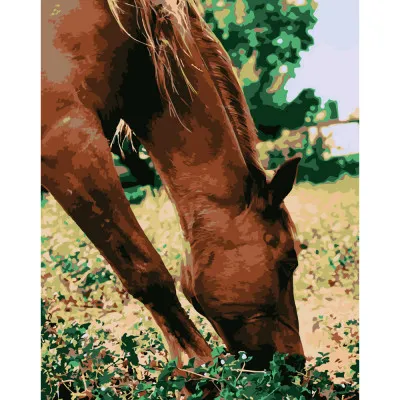 Картина по номерами Strateg ПРЕМИУМ Лошадь в лугу размером 40х50 см (DY108)