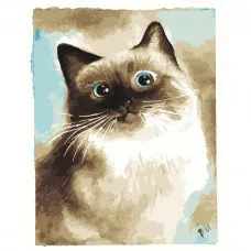 Картина по номерами Strateg ПРЕМИУМ Удивительная кошка размером 40х50 см (DY180)