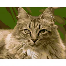 Картина по номерами Strateg ПРЕМИУМ Гордая кошка размером 40х50 см (DY186)