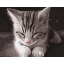 Картина по номерами Strateg ПРЕМИУМ Сонный котенок размером 40х50 см (DY191)