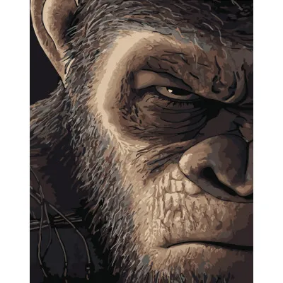 Картина за номерами Strateg ПРЕМІУМ Злий погляд розміром 40х50 см (DY279) Картина за номерами Strateg ПРЕМІУМ Злий погляд розміром 40х50 см (DY279)