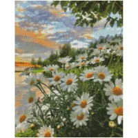 Алмазна мозаїка Ніжні ромашки 40х50 см FA0005