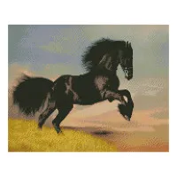 Алмазна мозаїка Вороний кінь 40х50 см FA10024