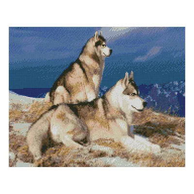 Алмазна мозаїка Хаски в горах 40х50 см FA10183 Алмазна мозаїка Хаски в горах 40х50 см FA10183