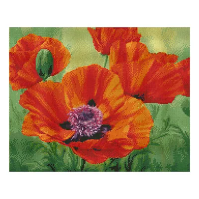Алмазна мозаїка Квітучий мак 40х50 см FA11091 Алмазна мозаїка Квітучий мак 40х50 см FA11091