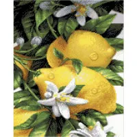Алмазна картина Strateg ПРЕМІУМ Лимони розміром 40х50 см FA40869