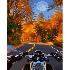 Картина за номерами Strateg ПРЕМІУМ На мотоциклі восени розміром 40х50 см (GS1041)