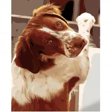 Картина за номерами Strateg ПРЕМІУМ Відданий погляд розміром 40х50 см (GS1115)