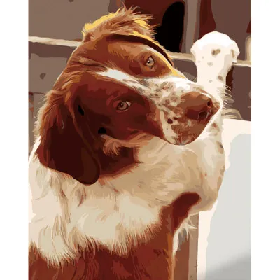 Картина за номерами Strateg ПРЕМІУМ Відданий погляд розміром 40х50 см (GS1115) Картина за номерами Strateg ПРЕМІУМ Відданий погляд розміром 40х50 см (GS1115)