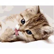 Картина за номерами Strateg ПРЕМІУМ Маленьке кошеня розміром 40х50 см (GS1133)