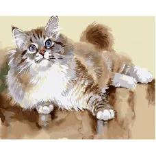 Картина за номерами Strateg ПРЕМІУМ Пухнастий котик розміром 40х50 см (GS1323)