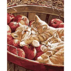 Картина по номерами Strateg ПРЕМИУМ Котята в яблоках размером 40х50 см (GS147)