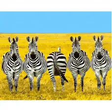 Картина за номерами Strateg ПРЕМІУМ П'ятірка зебр з лаком та з рівнем розміром 40х50 см (GS1521)