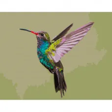 Картина за номерами Strateg ПРЕМІУМ Калібрі розміром 40х50 см (GS175)