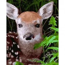 Картина по номерами Strateg ПРЕМИУМ Маленький олененок размером 40х50 см (GS188)