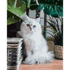 Картина по номерами Strateg ПРЕМИУМ Пушистый котик размером 40х50 см (GS211)