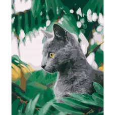 Картина по номерами Strateg ПРЕМИУМ Серенький котенок размером 40х50 см (GS227)