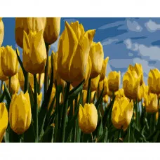 Картина по номерами Strateg ПРЕМИУМ Поле желтых тюльпанов размером 40х50 см (GS260)