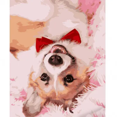 Картина за номерами Strateg ПРЕМІУМ Коргі з краваткою розміром 40х50 см (HH012) Картина за номерами Strateg ПРЕМІУМ Коргі з краваткою розміром 40х50 см (HH012)