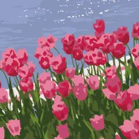 Картина по номерам Strateg Тюльпанчики размером 20х20 см (HH5110)