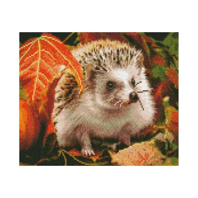 Алмазна мозаїка Їжачок у листі 30х40 см HX038 Алмазна мозаїка Їжачок у листі 30х40 см HX038
