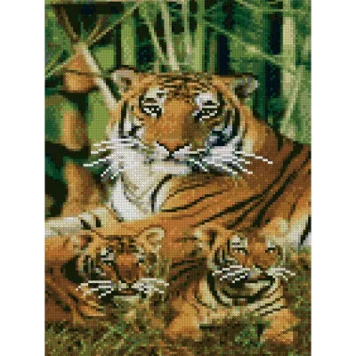 Алмазна мозаїка Тигри серед бамбука 30х40 см HX068