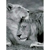 Алмазна мозаїка Велика ніжність 30х40 см HX104