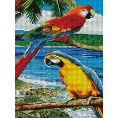 Алмазна мозаїка Папуги на пляжі 30х40 см HX133