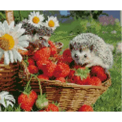 Алмазна мозаїка Їжачок з полуницею 30х40 см HX173 Алмазна мозаїка Їжачок з полуницею 30х40 см HX173