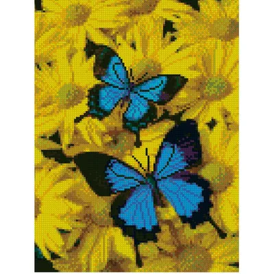 Алмазна мозаїка Пара метеликів 30х40 см HX183