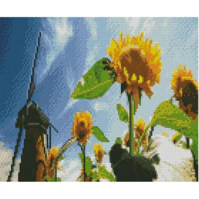 Алмазна мозаїка Квіти сонця 30x40 см HX221