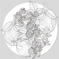 Набір для розпису-антистрес Strateg Ягідна гармонія розміром 30х30 см (JCEE37121)