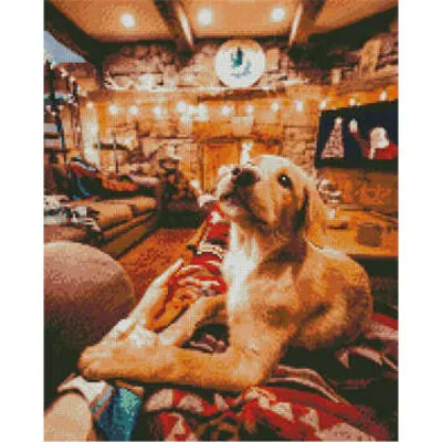 Алмазна картина Strateg ПРЕМІУМ Рудий друг розміром 40х50 см (L-257)