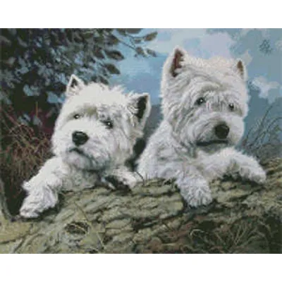 Алмазна картина Strateg ПРЕМІУМ Білі пухнастики розміром 40х50 см (L-282)