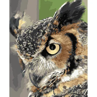 Картини за номерами Strateg ПРЕМІУМ Мудра сова з лаком розміром 40х50 см VA-3655