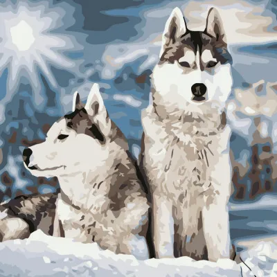 Картина за номерами Strateg ПРЕМІУМ Засніжені хаски розміром 40х40 см (SK051) Картина за номерами Strateg ПРЕМІУМ Засніжені хаски розміром 40х40 см (SK051)