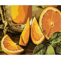 Картина по номерам Strateg ПРЕМИУМ Цитрусовое настроение размером 30х40 см (SS1209)