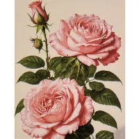 Картина за номерами Strateg ПРЕМІУМ Рожева троянда розміром 30х40 см (SS1220)
